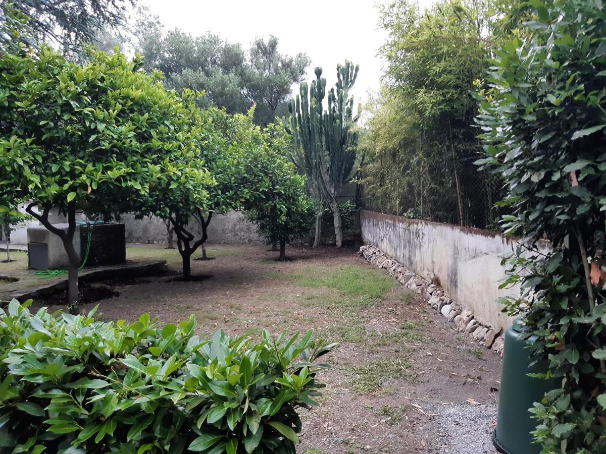Villa Livia Villammare Eksteriør billede