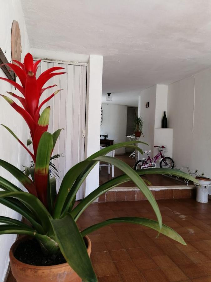 Villa Livia Villammare Eksteriør billede