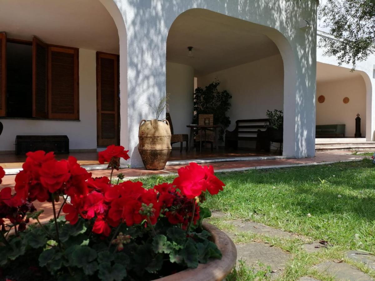 Villa Livia Villammare Eksteriør billede